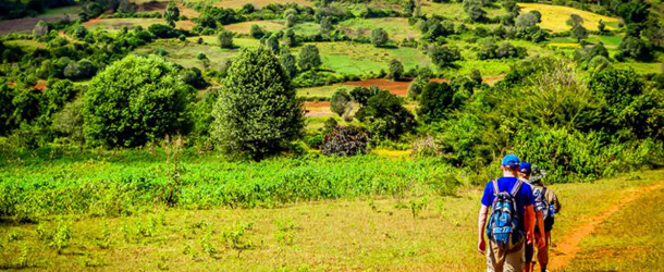 kalaw-travellers-green-trekking